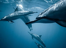 开云体育平台-全球首发！ATFX牵手阿根廷足协，与球王共赴2026世界杯绿茵荣耀|阿根廷足球|阿根廷足球协会|协会|德保罗|罗德里戈·埃尔南德斯·卡斯坎特_新浪体育_新浪新闻